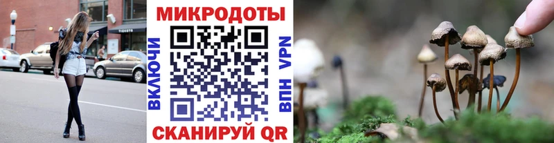 Псилоцибиновые грибы ЛСД  Нерчинск 